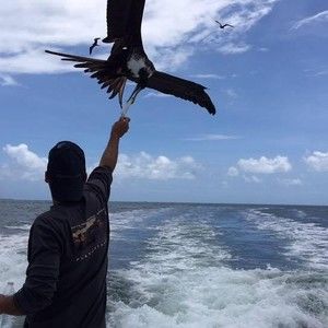 Meet your Posher, Billy